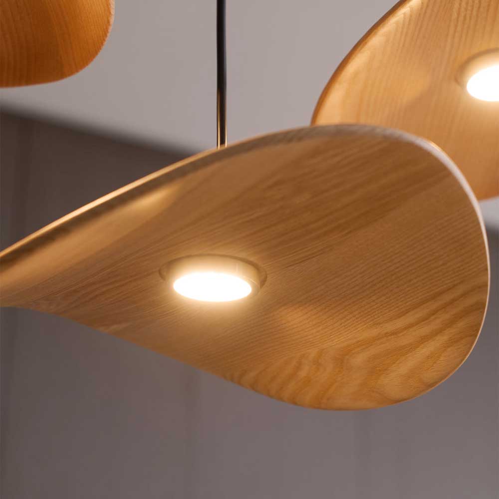 Empty Leaf Chandelier